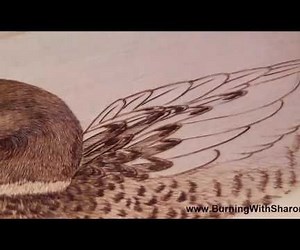 Pyrography: How to Woodburn a Mallard Duck Wing