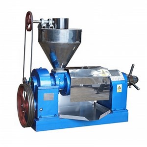 [Hot Item] Professional Oil Extraction/Sesame Seeds Oil Press Machine