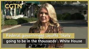 Federal government layoffs 'likely going to be in the thousands': White House