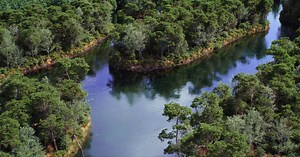 Breathtaking Pine Lake Environment Inspired by a Real Location