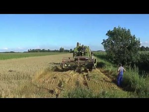 Landb. Van Deynze - Ursel - maaidorsern - Claas Senator