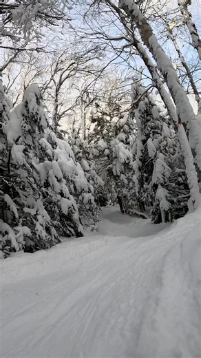 From the trail to the trees. 🌲🌲🌲 Shot today on GoPro | Stratton Mountain Resort