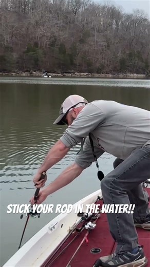 Fishing BIG Fish with Light Line 101!! 🫡