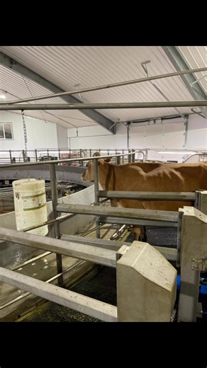 235K views · 11K reactions | I can’t believe it’s already been three years, a lot of sweat, gray hair and stress. | TDF Honest Farming | Facebook