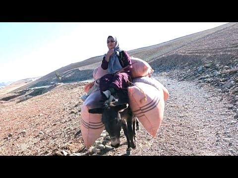 Attractive videos of nomadic women riding a donkey ... for the first time on YouTube 🏕🌳