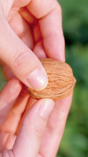 Everybody scream 🙀 #everybodyscream #fyp #viral #funnybabyvideos #aftereffects #greenscreenvideo