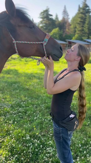 14K views · 217 reactions | What geldings put up with when they are owned by girls… 殺來 #horsegirl #horselover #cutehorse #beautifulhorse #horsemanship #equestrian #equestrianlife #horselife #cowgirl #andalusianhorse #arabianhorse #horsememe | Marengo the Dragon Horse | Facebook
