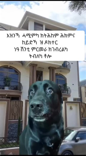 ARON MEME 💎 (@aronmeme)’s videos with original sound - King_Messi 👑