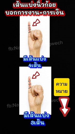 เส้นแบ่งนิ้วก้อย #เส้นแบ่งนิ้วก้อย #ลายมือ #ดูลายมือ #ดูดวง #ดูดวงลายมือ #ลายมือคนรวย #ลายมือเศรษฐี #zodiac | Nattamon Wongwech