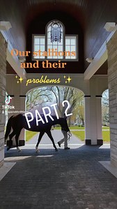 164K views · 1.4K reactions | Our stallions & their ✨ problems ✨ part 2 | follow us on TikTok & Instagram for parts 3, 4, & 5! We hope you are laughing along as much as we are! 藍 | Spendthrift Farm | Facebook