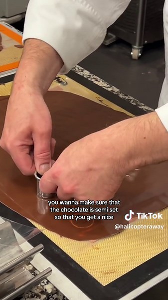 Delicious Pastry Recipes: Mousse aux Fruits, Royal Chocolat, Tonka & Chocolate Entremet