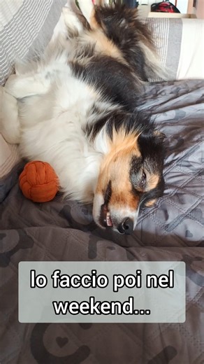 quando finalmente è sabato!