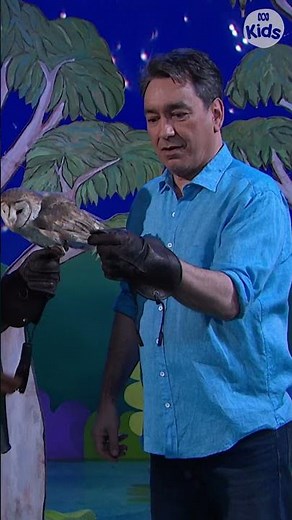 Owl Turns Its Head 180° | Play School | ABC Kids