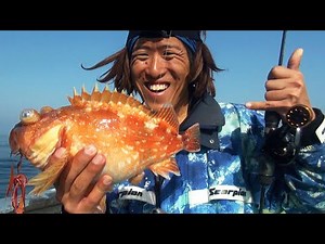 船上片道3時間走った先はパラダイスだった