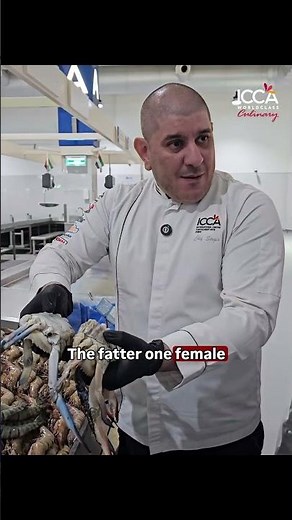 Male vs Female Crab: What’s the Difference? 🦀