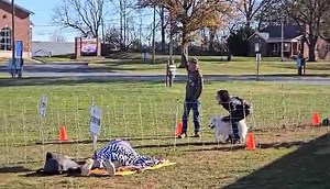 Amelia Johnson on Reels