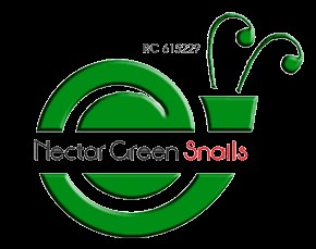 4 Effective Soil Treatment Techniques To Support Snail Growth - Nectar Green Snails