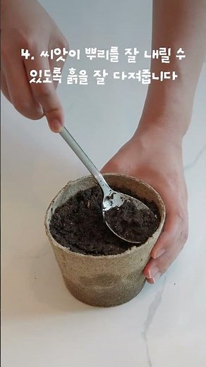 [씨앗 캠페인] 씨앗키트 생육가이드