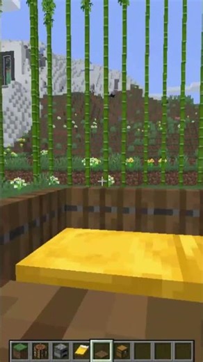 The Smallest House in Minecraft 😲 | Tiny Survival Base! | #Shorts