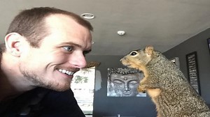 He Rescued A Baby Squirrel Who’d Fallen From A Tree Now The Little Orphan Just Loves His New Dad