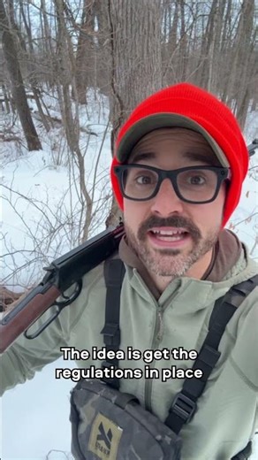 Could Armadillo Hunting Be Coming to Michigan?