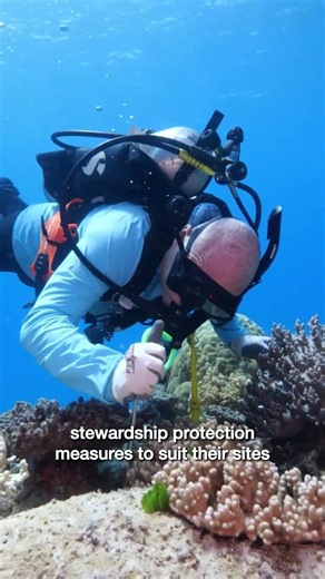 IS TOURISM HELPFUL FOR THE GREAT BARRIER REEF? | #greatbarrierreef #tourism #shorts