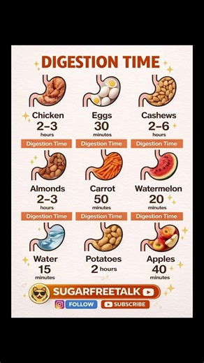 How Long Does It Take to Digest Different Foods? | Digestion Time Explained #healthyeating