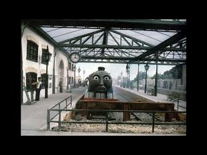 A Better View For Gordon Read Along