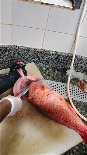 Seafood Lover’s Nazil Fish Prep NazilFish #FishCutting #FishCleaning