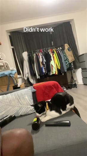 Go and get your brother. #tthevillain