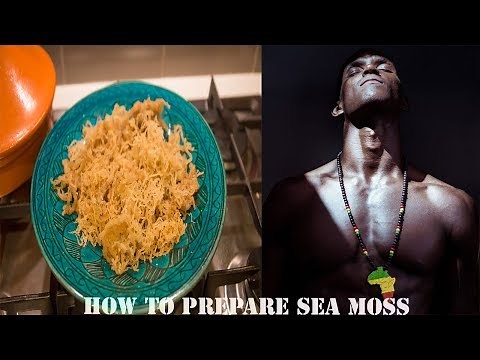 HOW TO PREPARE SEA MOSS STEP BY STEP | MAKE A SEA MOSS PROTEIN SHAKE