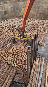 loading timber to the ship, Norway, Faleide by ship excavator #excavator #excavatoroperator #crane #seaman #sailors #ship | Andrii Starostenko