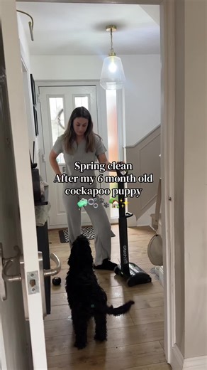 Spring cleaning after a messy puppy! Forever mopping and hoovering this house 🤣🫧🧼🐾 #springclean #cleaningroutine #puppyroutine #springcleaningtime @Gtech UK #CapCut