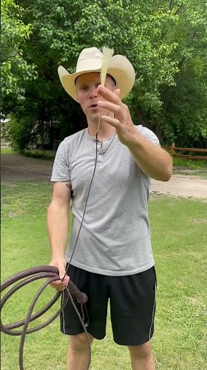 Amazon Bullwhip Repair