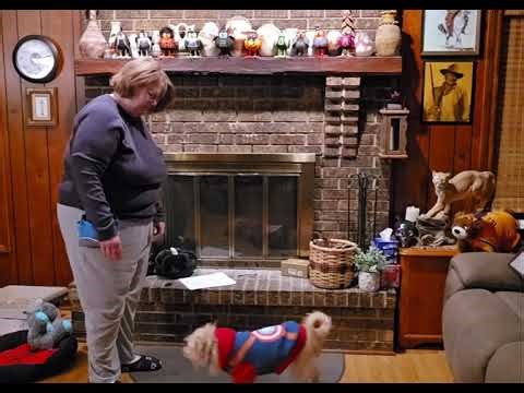 Exercise 7.2 Down Stimulus control rules 2 & 3