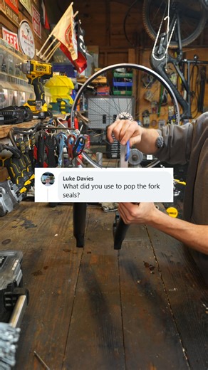 How Do You Remove Fork Seals? #mechanic #bicycle #bike #Howto #repair | Marwan Rahal