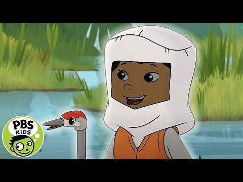 Molly of Denali | Looking for Cranes! | PBS KIDS