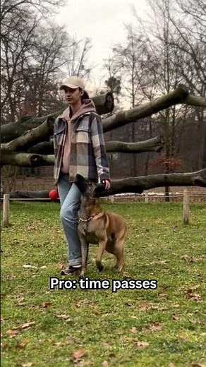 Dog training pros and cons