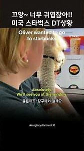 끄앙~ 너무 귀엽잖아!! 미국 스타벅스 DT상황 #영어듣기