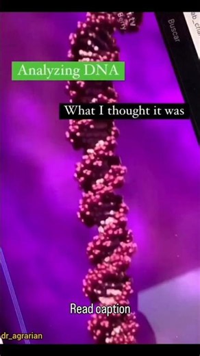 DNA structure : DNA structural features are often analyzed using graphical plots
