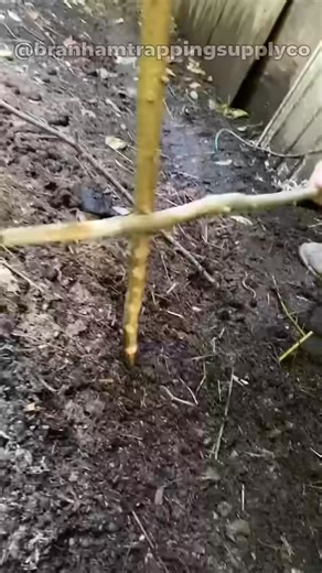 7.2K views | How does worm grunting work! #dialy #reel #fyp #trendvideo #work #worker #Trend | Worker Satisfied | Facebook