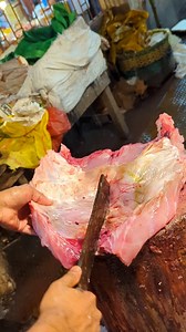 "Giant Hamour Fish Cutting Show | Satisfying Seafood Cleaning 🎥🐟" #BigHamour #SeafoodMagic #holidayentertaining #SeasonalDecor #seasonaltreats #seasonalmenu #staffrecognition #KitchenEssentials #southernfood #comfortfood #italianfood | Fish Cutting