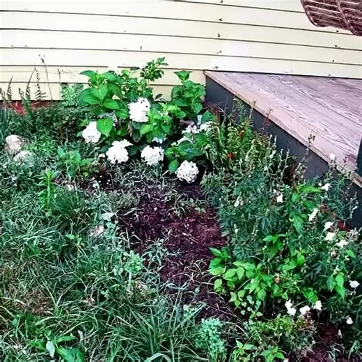 NEIGHBOR HANDYMAN CAME TO FIX MY BROKEN WINDOW – WHAT HE LEFT BEHIND IN MY GARDEN WAS UNTHINKABLE At 82, I was startled when a fierce storm shattered my living room window. Thankfully, I knew my neighbor, Carl, was a reliable handyman. So, the next day, I called him. He arrived, but something felt off—his usual calmness was there, but his eyes held a distant, unsettling look. Still, I pushed the unease aside. Carl finished the repair in a few hours, cleaning up the mess and even fixing some loos