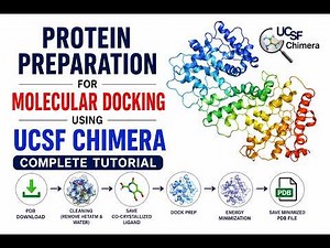 Protein Preparation for Molecular Docking Using UCSF Chimera | Complete Tutorial