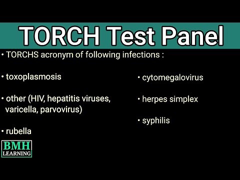 TORCH Test | TORCH Screen Test | TORCH Infections In Pregnancy | TORCH Profile |