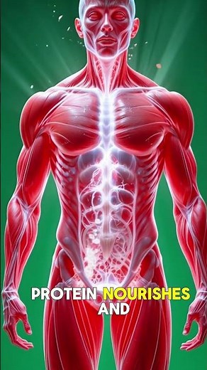 What Happens Inside Your Body When You Drink Milk? 🥛 | 3D Human Body Animation