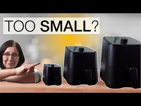 Instant Vortex MINI Air Fryer - How much food can it cook?