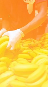 296 reactions | A Maxi aposta na Produção Nacional: A “Fazenda Maxi” é um programa exclusivo promovido pela Maxi que estabelece parcerias com produtores locais, com o objectivo de desenvolver a produção nacional e tornar acessíveis a toda a população os melhores produtos agrícolas. #producaonacional #maxi #fazendamaxi | MAXI Supermercados | Facebook