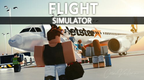 Flugsimulator✈️