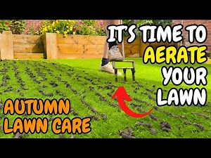 How and why you should AERATE your LAWN this AUTUMN
